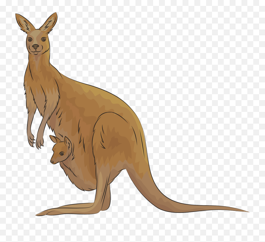 Kangaroo Clipart - Kangaroo Clipart Emoji,Kangaroo Clipart