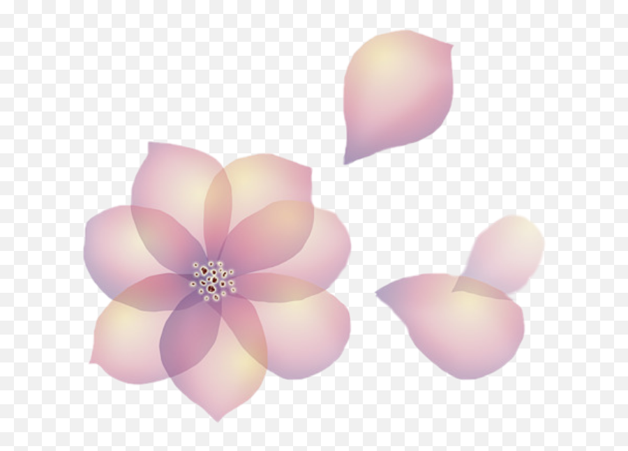 Download Flowers Petals Transparent - Aesthetic Flowers On Transparent Emoji,Rose Petals Transparent