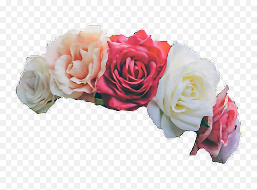 Red Flower Crown Png - Wreath Flower Crown Pink Png Image Transparent Background Flower Crown Png Transparent Emoji,Florais Png