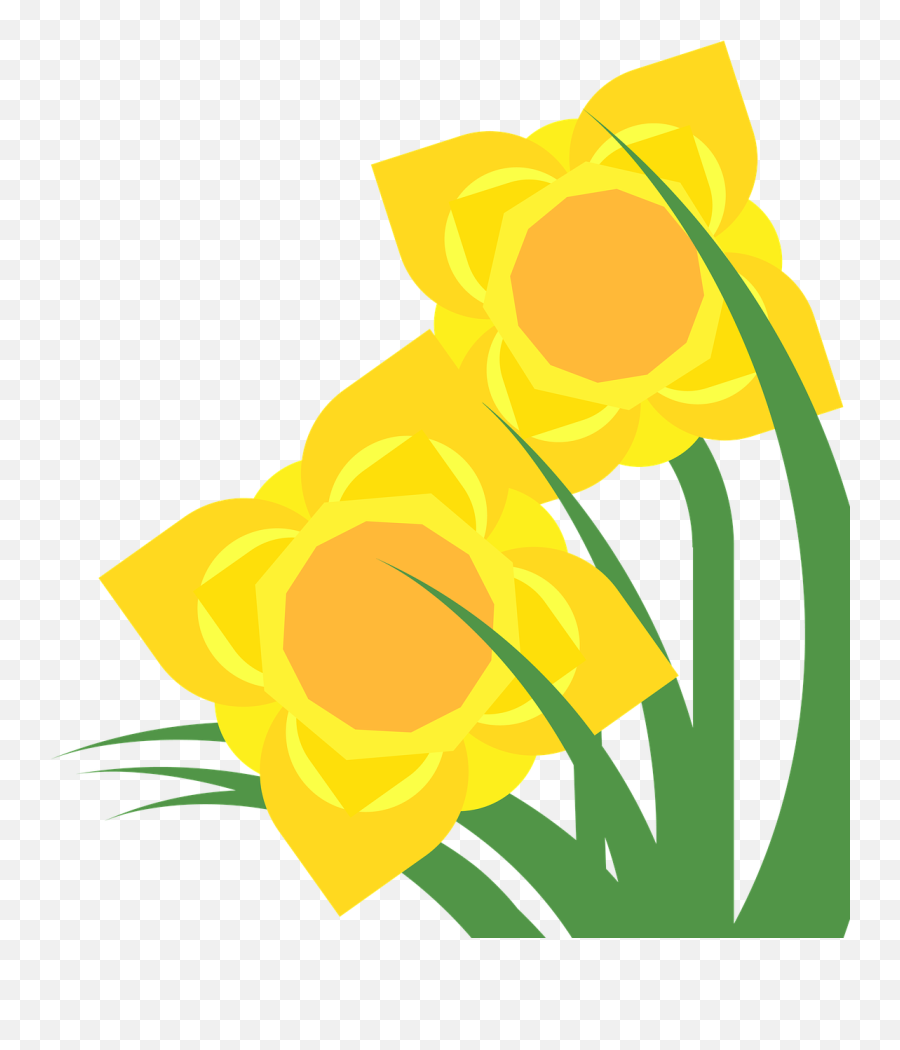 Clipart Daffodil Narcissus Spring Flower Plant - Flower Flower Spring Clipart Green Yellow Emoji,Spring Flowers Clipart