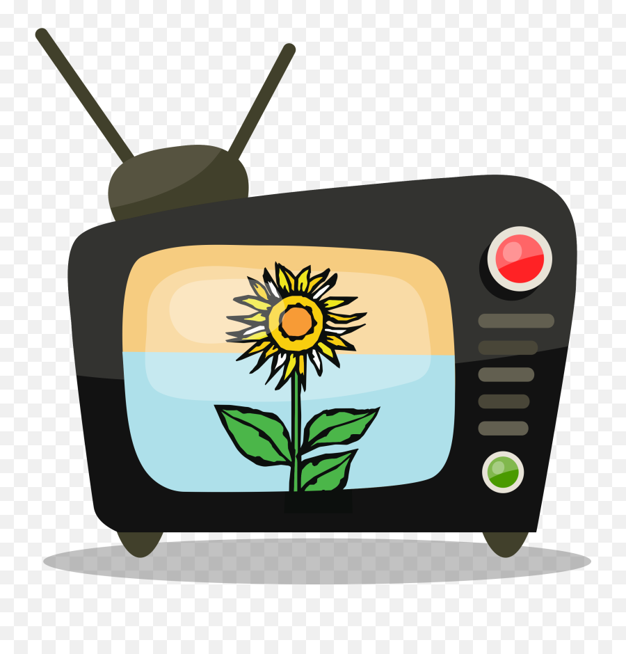 Sunflower Learning Channel Progressive Christian Perspective - World Television Day Emoji,Sunflower Logo