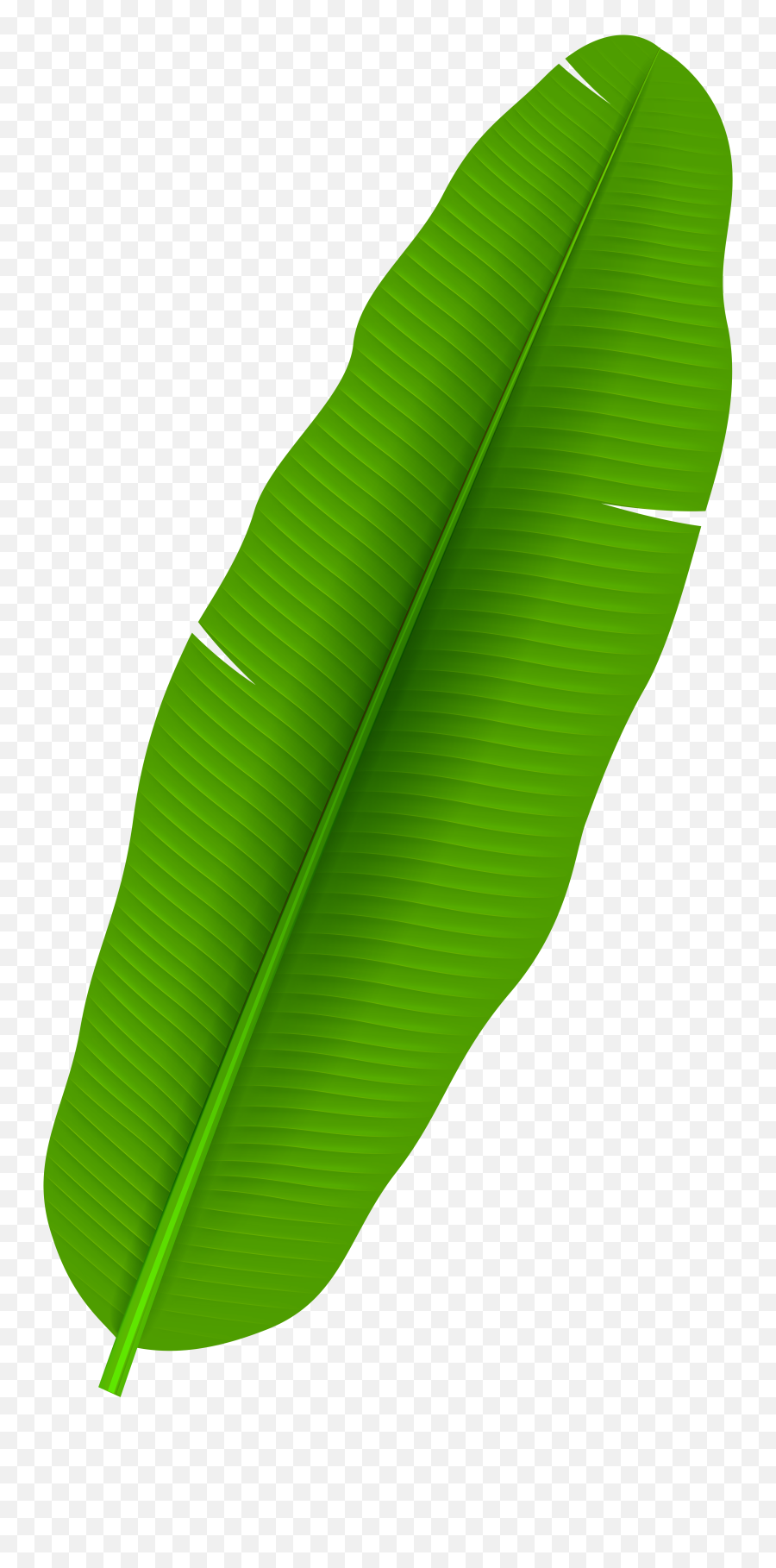 Exotic Palm Leaf Transparent Png Clip Art - Banana Leaf Png Banana Leaf Clipart Transparent Background Emoji,Leaf Transparent