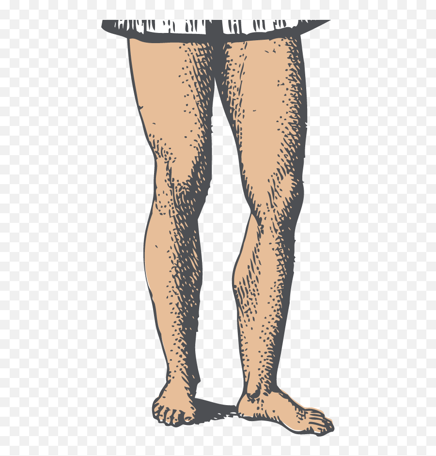 Leg Clipart Left Leg Leg Left Leg - Dot Emoji,Legs Png