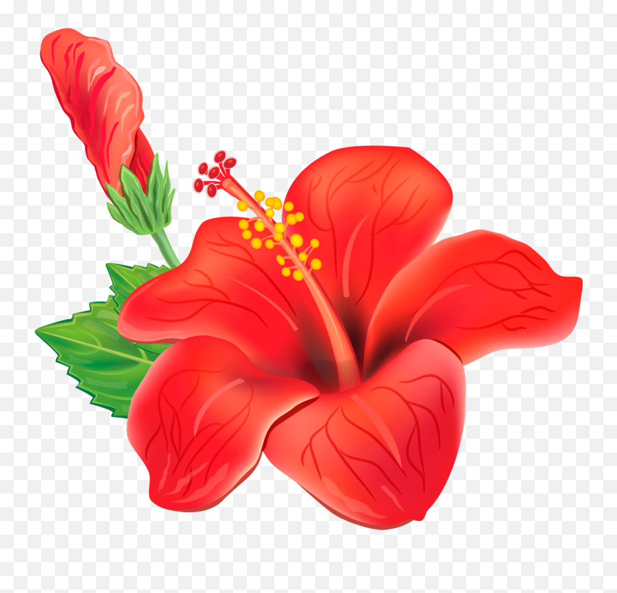 Tropical Flowers Red Exotic Flower - Hibiscus Clipart Emoji,Tropical Clipart