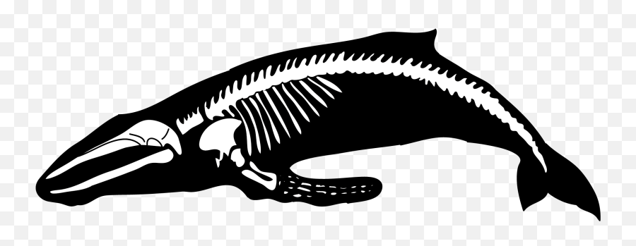 Baleine Emoji,Fish Skeleton Clipart
