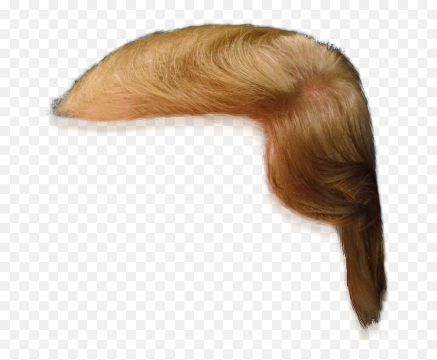 Donald Trump Hair Png Transparent Images U2013 Free Png Images - Trump Hair Transparent Png Emoji,Trump Clipart