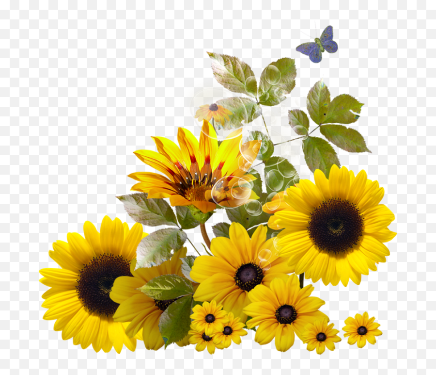 Sunflower Corner Border Clipart Download - Sunflower Border Sunflower Cupcake Toppers Emoji,Clipart Borders