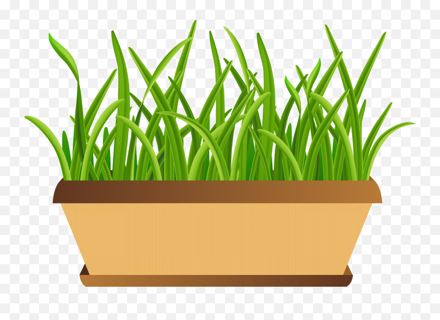 Grass Png Clipart - Transparent Background Flower Pot Clipart Emoji,Grass Transparent Background
