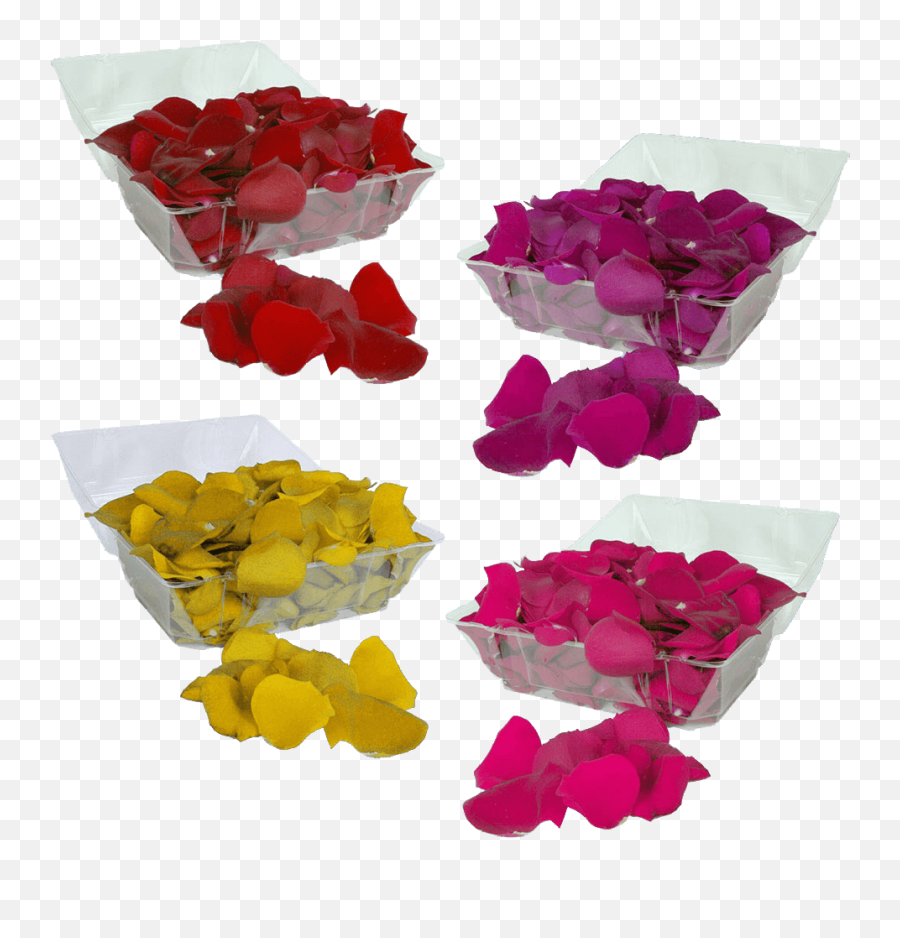 1000 Red Rose Petals Middletown Florist Emoji,Rose Petals Transparent
