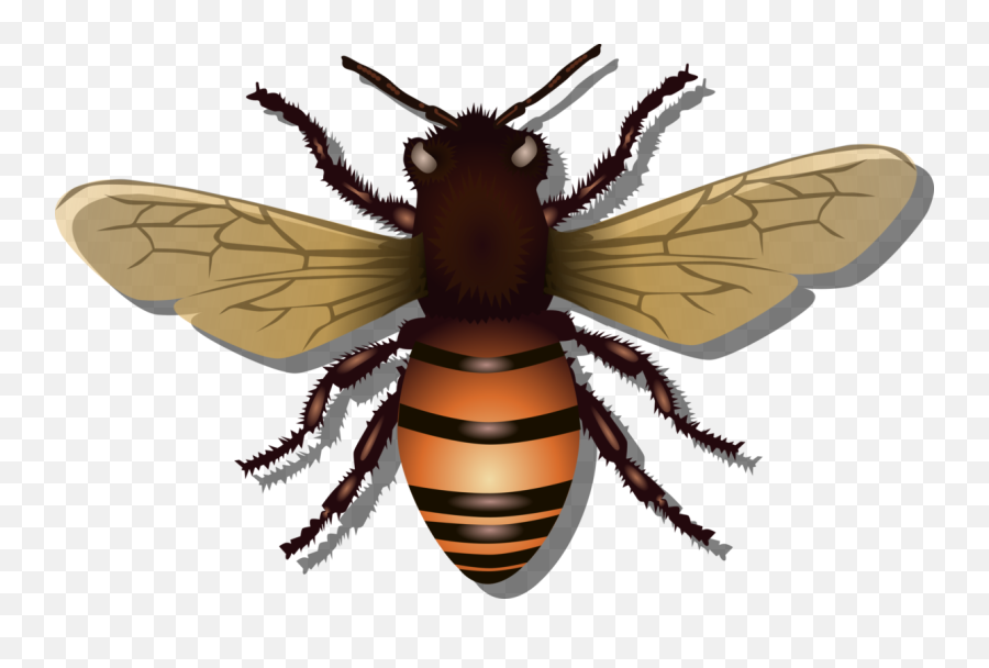 Clipart Honey Bee Vector Png File - Free Svg Honey Bee Emoji,Hornet Clipart
