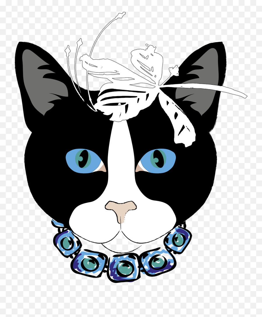 Cat Gata Animal Cat Face Feline Png - Cat Emoji,Cat Face Png