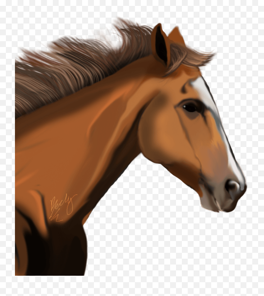 Horse Png Pictures Photos And Images - Horse Head Transparent Clipart Png Emoji,Horse Png