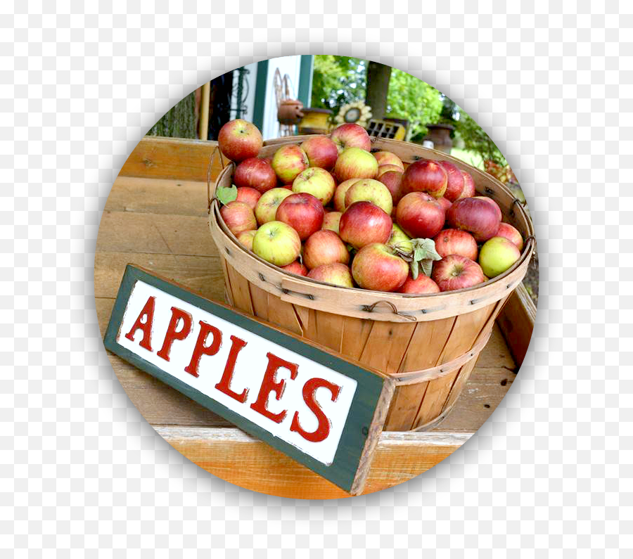 Cider Hill Family Orchard - Superfood Emoji,Apples Png