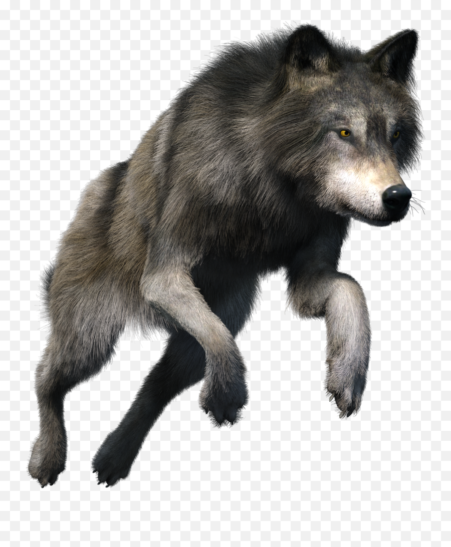 Wolf Png Transparent Stock Images Free Emoji,White Wolf Png