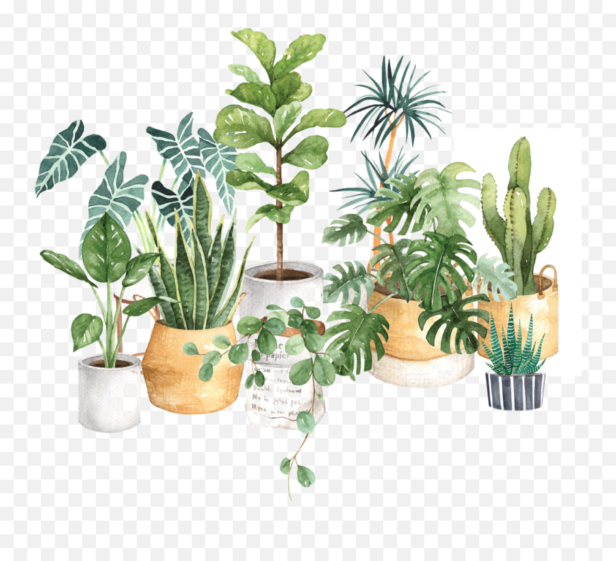 Watercolor House Plants Potted Plants Emoji,Potted Plant Transparent Background