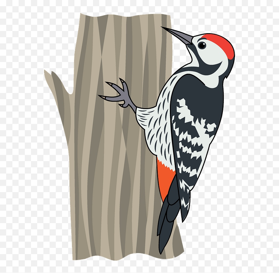 Woodpecker Clipart Emoji,Woodpecker Png