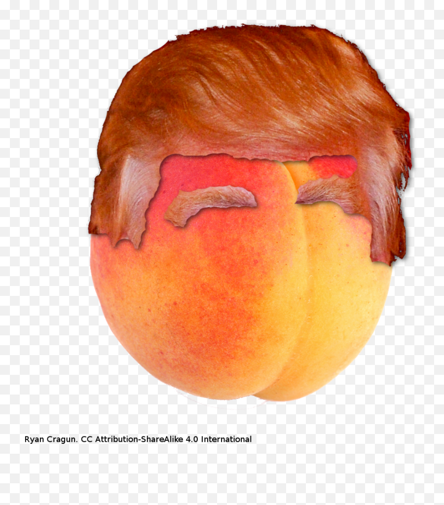 Peach Png Picture - Moldy Orange Donald Trump Emoji,Peach Png