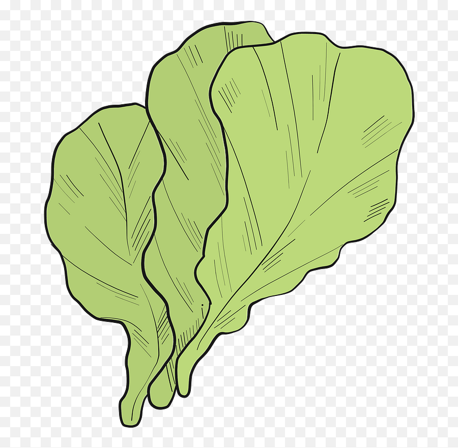 Lettuce Clipart - Lettuce Emoji,Lettuce Clipart