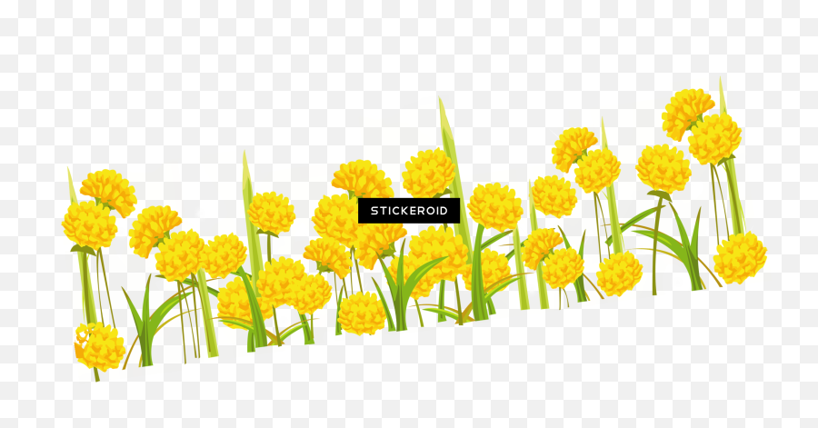 Dandelion - Dandelion Png Clipart Full Size Clipart Yellow Flowers Clipart Emoji,Dandelion Clipart
