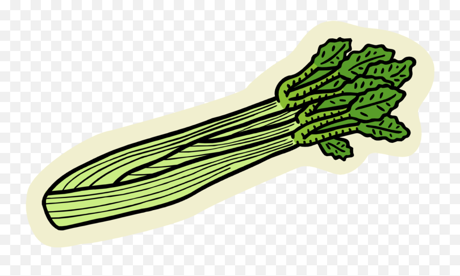Download Hd Vector Illustration Of Edible Vegetable Celery - Sellerie Clipart Emoji,Vegetable Clipart