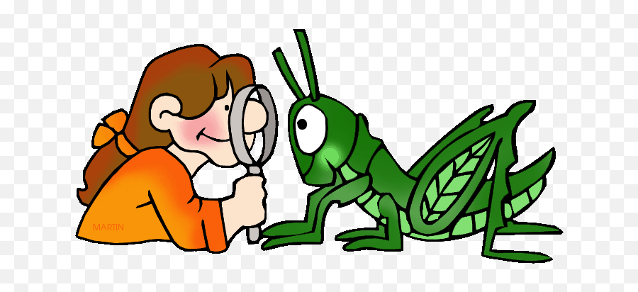 Observing A Grasshopper - Observation Method Emoji,Grasshopper Clipart