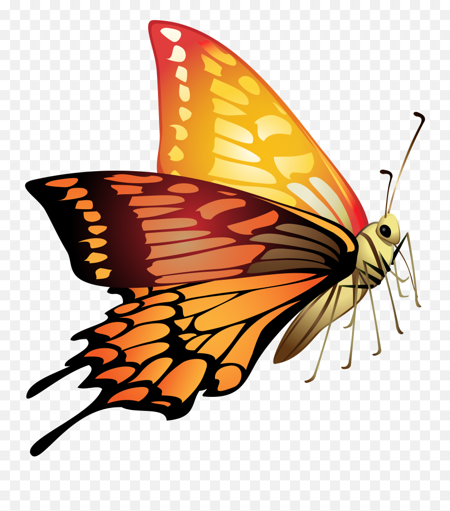 Download Orange Butterfly Png Png Image Emoji,Butterfly Png
