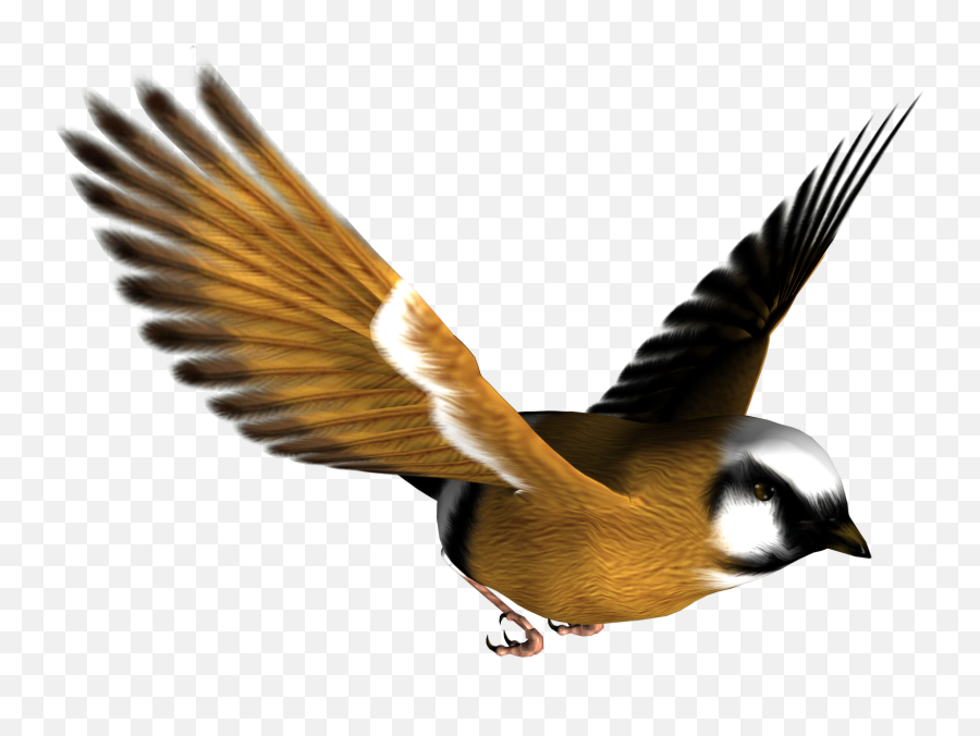 Image Bird Png Transparent Background Emoji,Bird Png