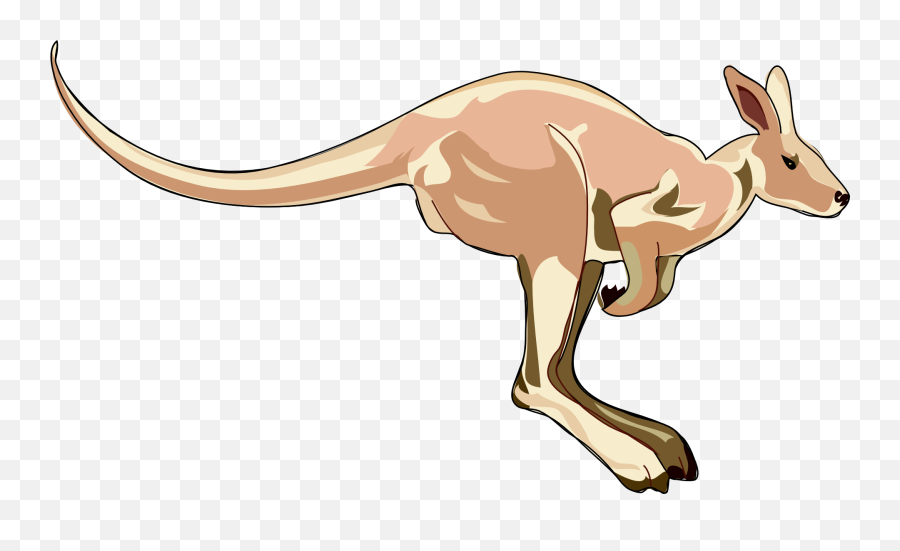 Cartoon Jumping Kangaroo Clipart Free Image - Vector Cartoon Kangaroo Emoji,Kangaroo Clipart