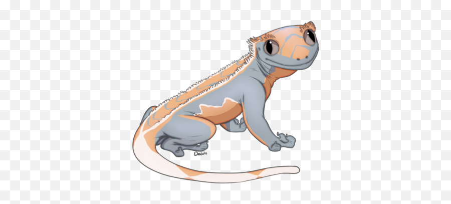 Download Crested Gecko Coloring Page - Crested Gecko Clip Crested Gecko Cute Draw Emoji,Gecko Clipart