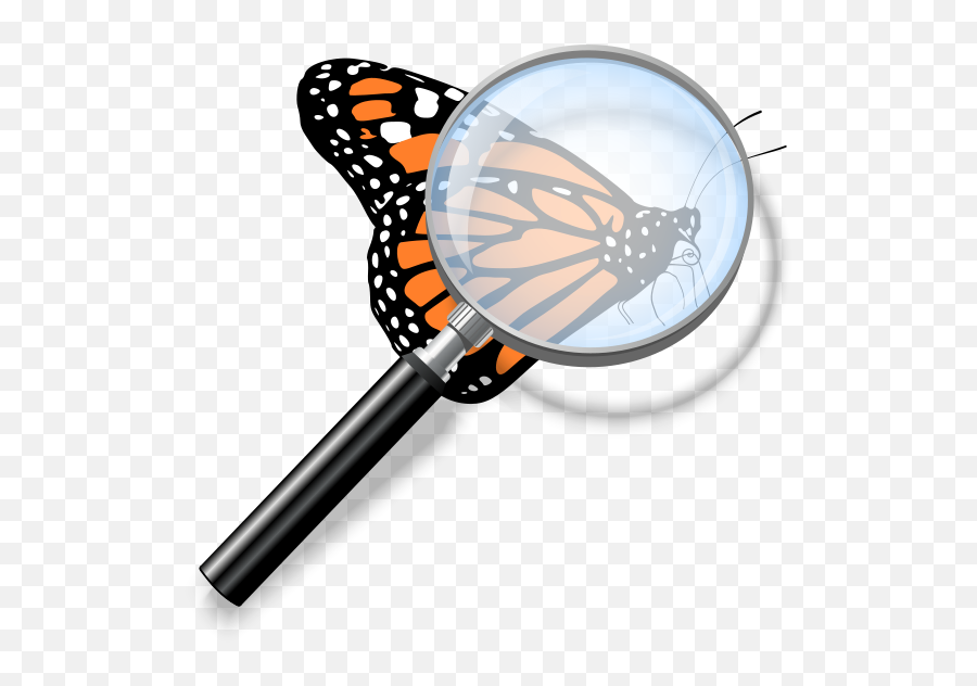 Monarch Butterfly Clipart Transparent Emoji,Monarch Clipart