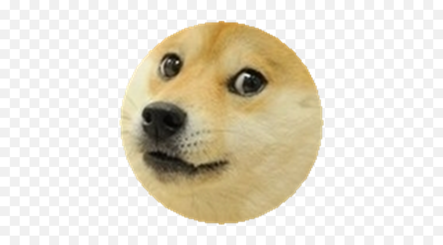 In Memory Of Doge - Roblox Doge Happy Birthday Meme Emoji,Doge Png