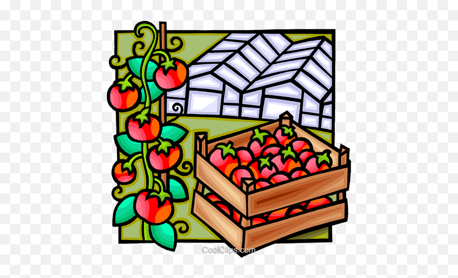 Green House Tomatoes Royalty Free Vector Clip Art - Vertical Emoji,Tomato Clipart