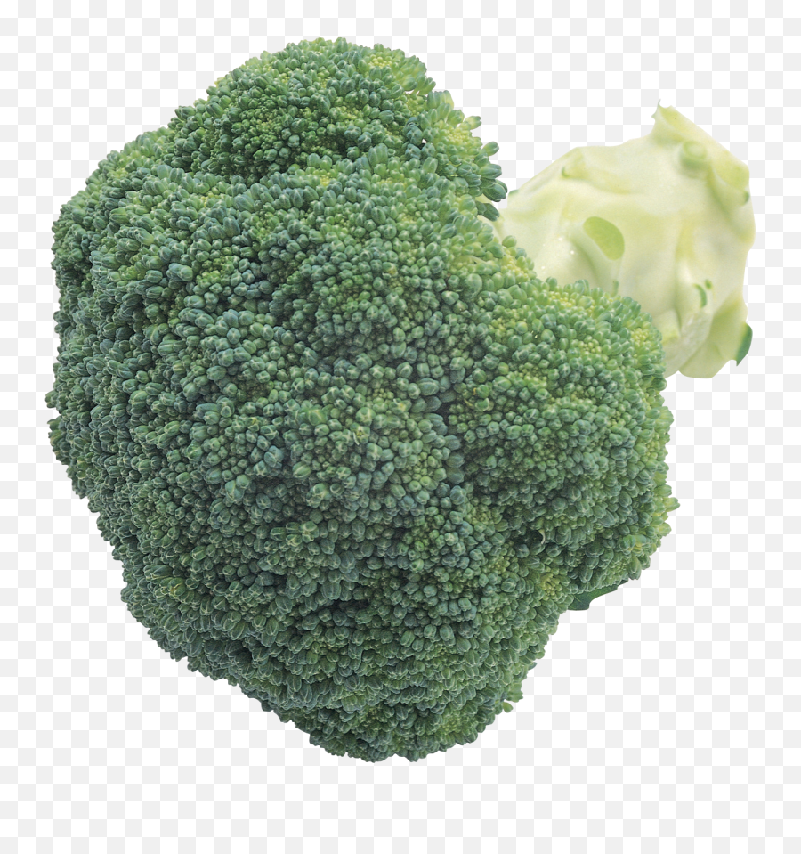 Broccoli Clipart Png - Broccoli Emoji,Broccoli Clipart