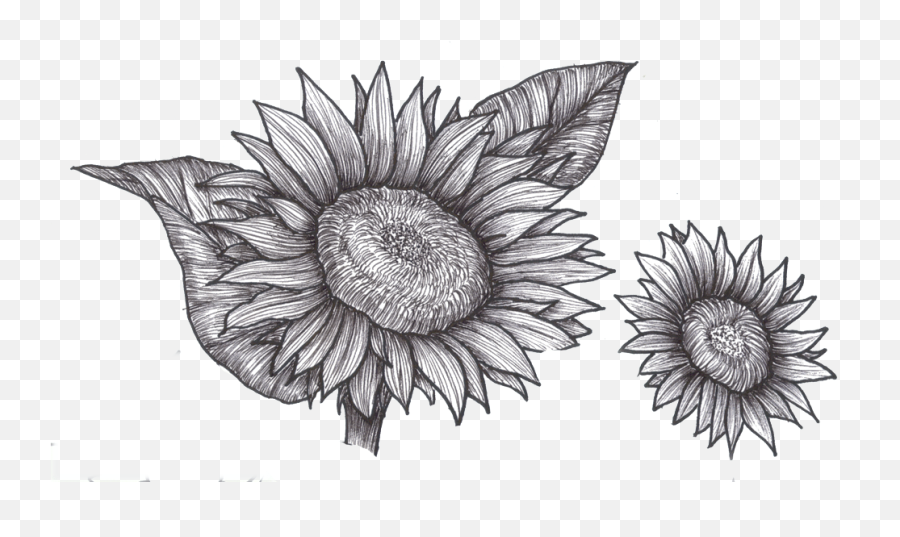Sunflower Drawing Emoji,Sunflower Clipart Black And White