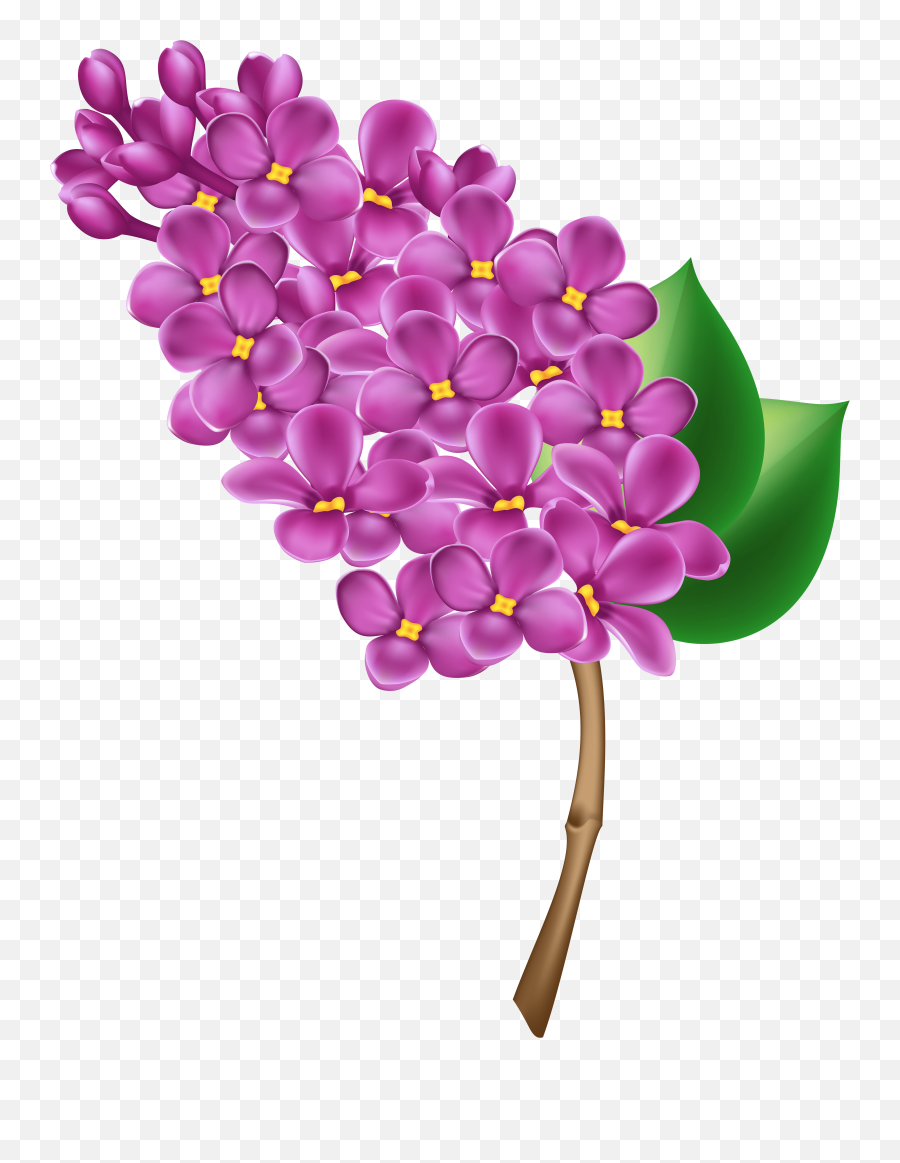 Lilac Flower Png - Lilac Clipart Png Transparent Cartoon Lilac Clipart Emoji,Flower Clipart Png