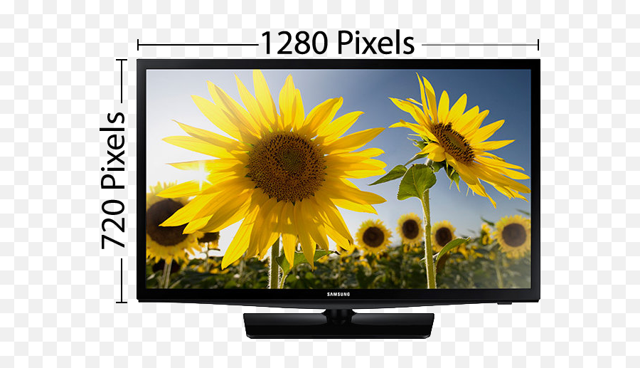 Tv Shopping Guide Wilcox Furniture Corpus Christi - 24 Inch Led Tv Png Emoji,Clipart Televisions
