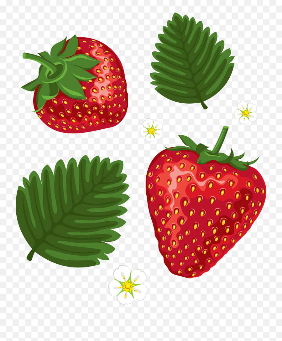Cartoon Strawberry - Strawberry Png Image U0026 Strawberry Strawberry Leaf Clipart Emoji,Strawberry Png