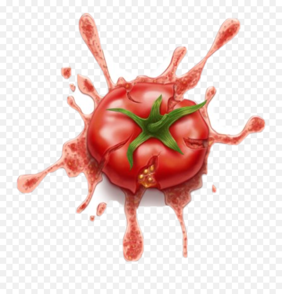 Tomatoe Png - Splat The Tomatoe Squashed Tomato Clipart Clipart Tomato Splat Emoji,Tomato Clipart