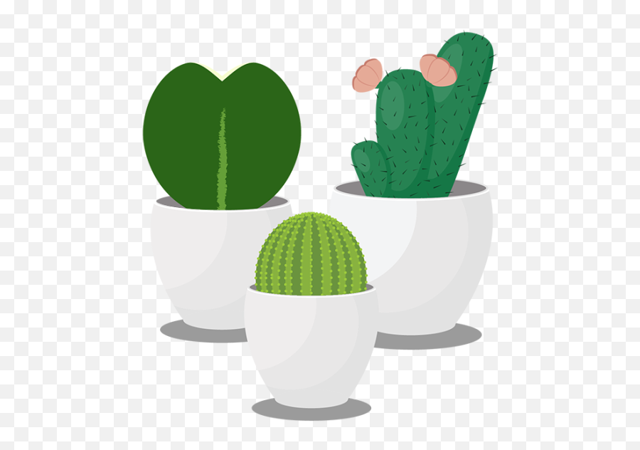 Browse Thousands Of Hoya Images For Design Inspiration Emoji,Cute Cactus Png