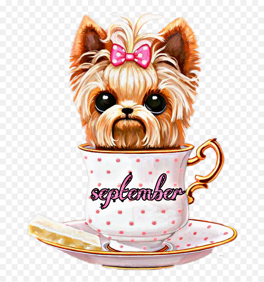 September Septiembre Perrito Puppy Sticker By Tny Emoji,Yorkie Clipart