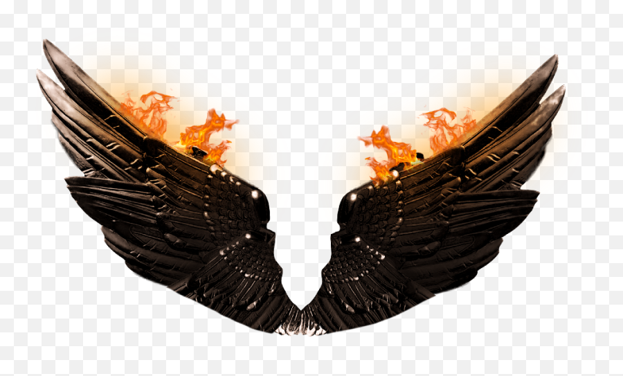 Dragon Wings Background Png - Cb Edit Wings Png Emoji,Wings Png