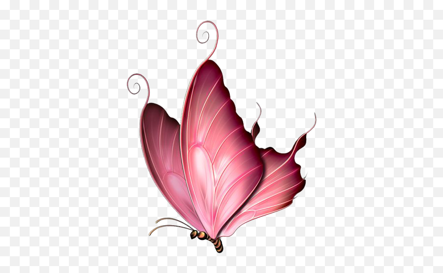 Pink Butterfly Png Image - Pink Butterfly Png Emoji,Butterfly Png