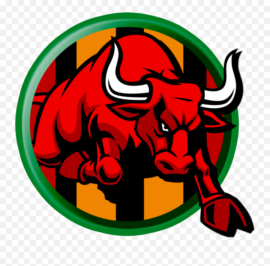 Bijapur Bulls Team Logo - Bulls Emoji,Bulls Logo
