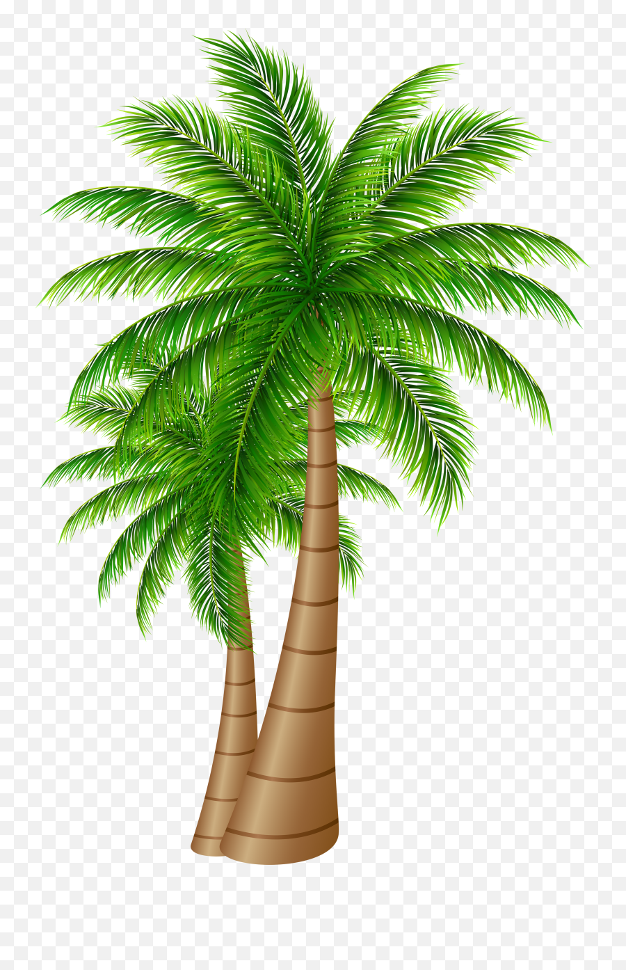 Download Palm Tree Clipart Transparent - Tree Of Dates Png Emoji,Trees Png
