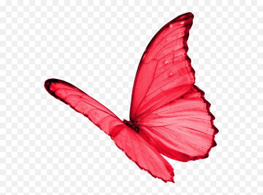 Papillon Clipart Red Butterfly - Butterflies Transparent Red Red Butterfly Clipart No Background Emoji,Butterflies Transparent