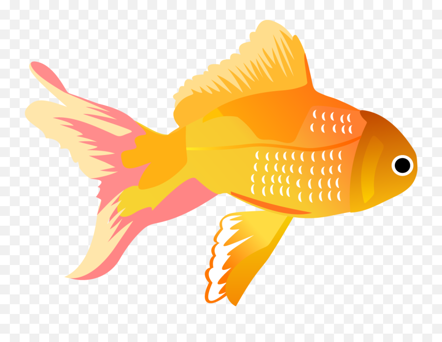 Fish Vector Free - Vector Images Of Fish 1144x835 Png Fish Png Vector Emoji,Transparent Fish