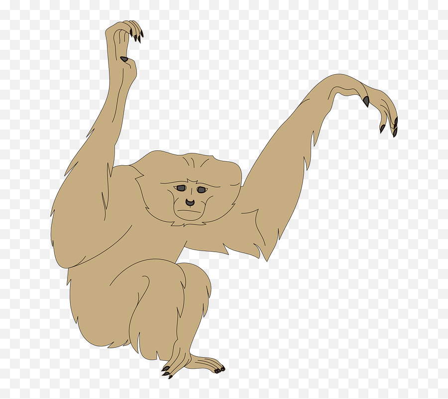 Monkey Face Arms - Free Vector Graphic On Pixabay Emoji,Open Arms Clipart