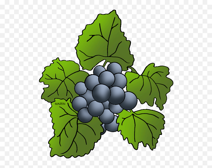 Missouri State Grape - Grape Clipart Full Size Clipart Phillipmartin Clipart Grape Emoji,Grape Clipart