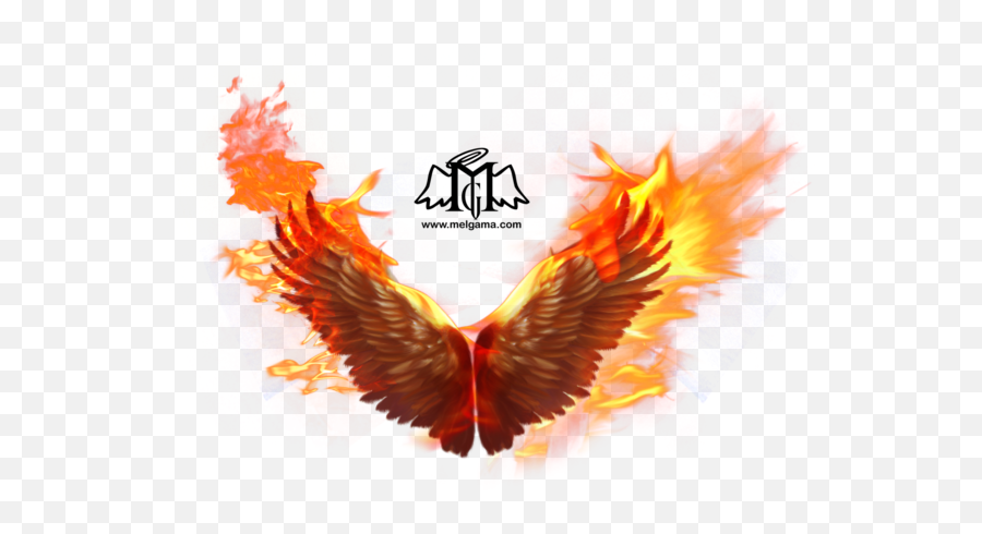 Download Phoenix Photos Hq Png Image - Phoenix Bird Wings Png Emoji,Phoenix Png