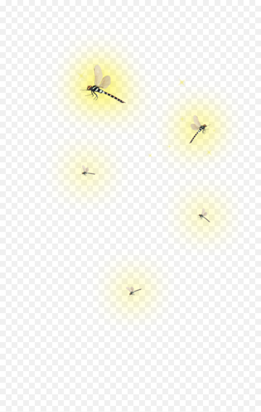 Freetoedit Ftestickers Dt Firefly Fireflies - Glowing Firefly Transparent Background Emoji,Firefly Clipart